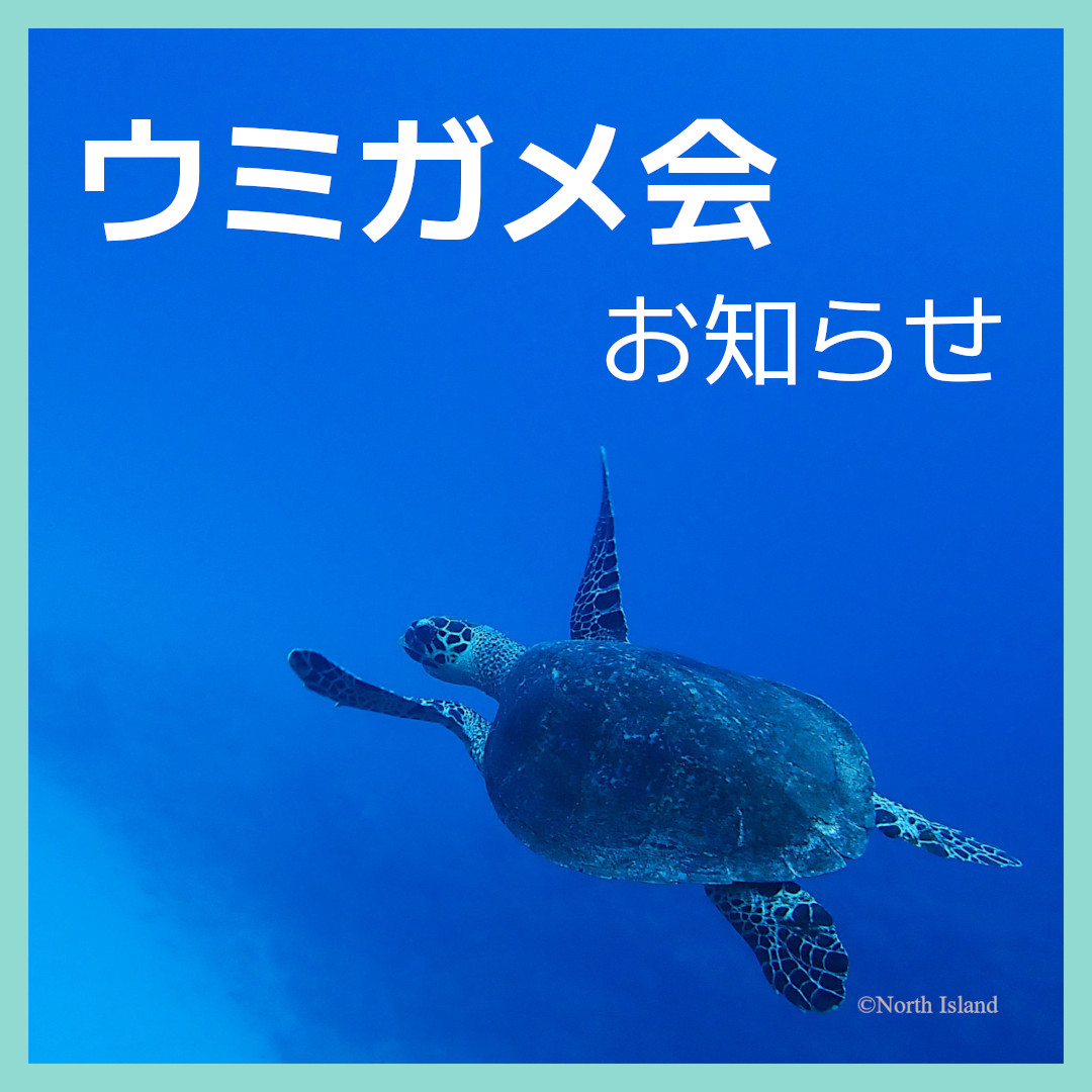 『第２回ウミガメ会』へのご参加ありがとうございました！