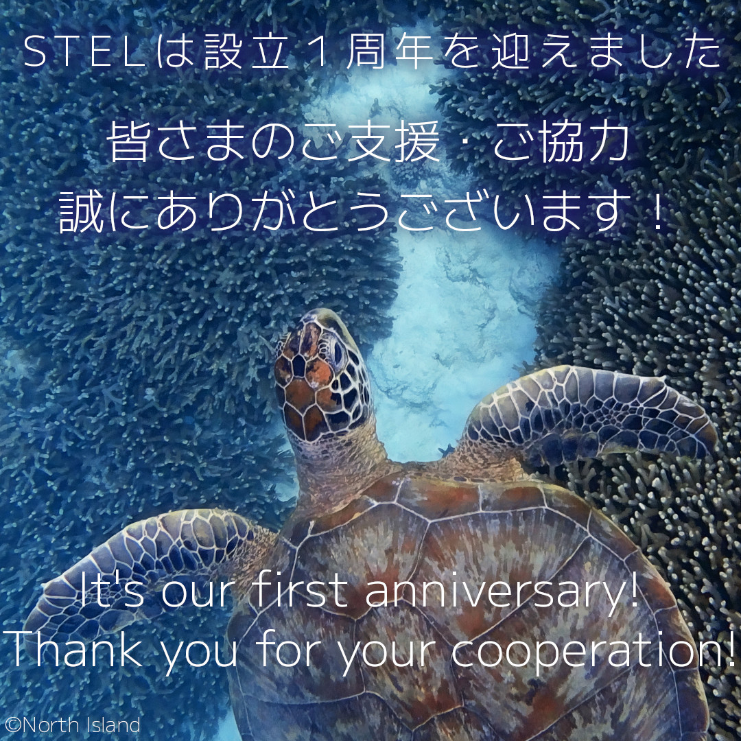 STELは設立1周年を迎えました