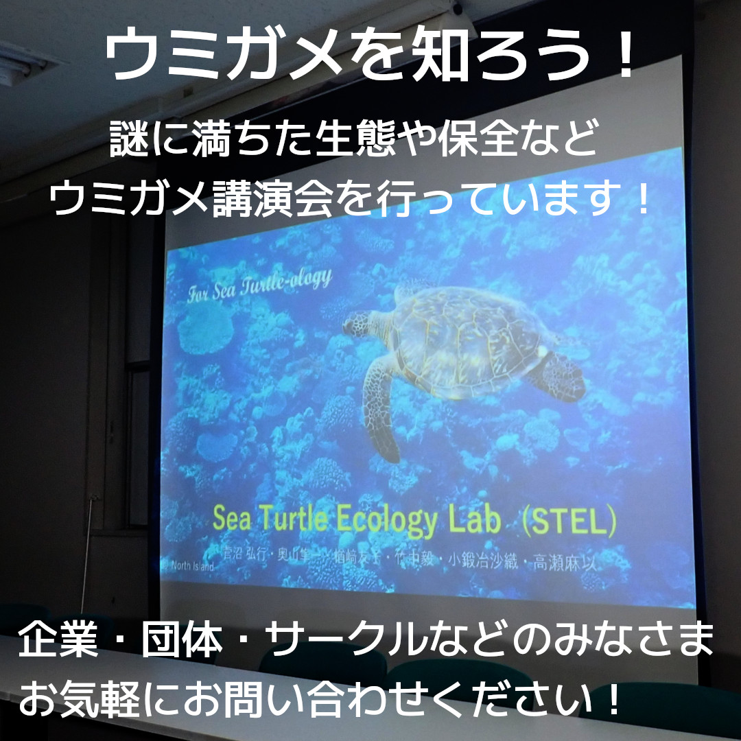 ウミガメを知ろう！－講演会のご案内
